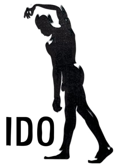 IDO-logo2