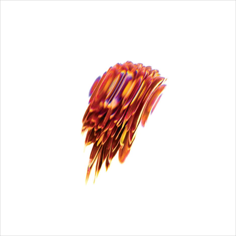 False Lp A 12in Widespine Jacket