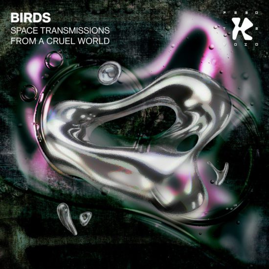 Birds Space Transmissions