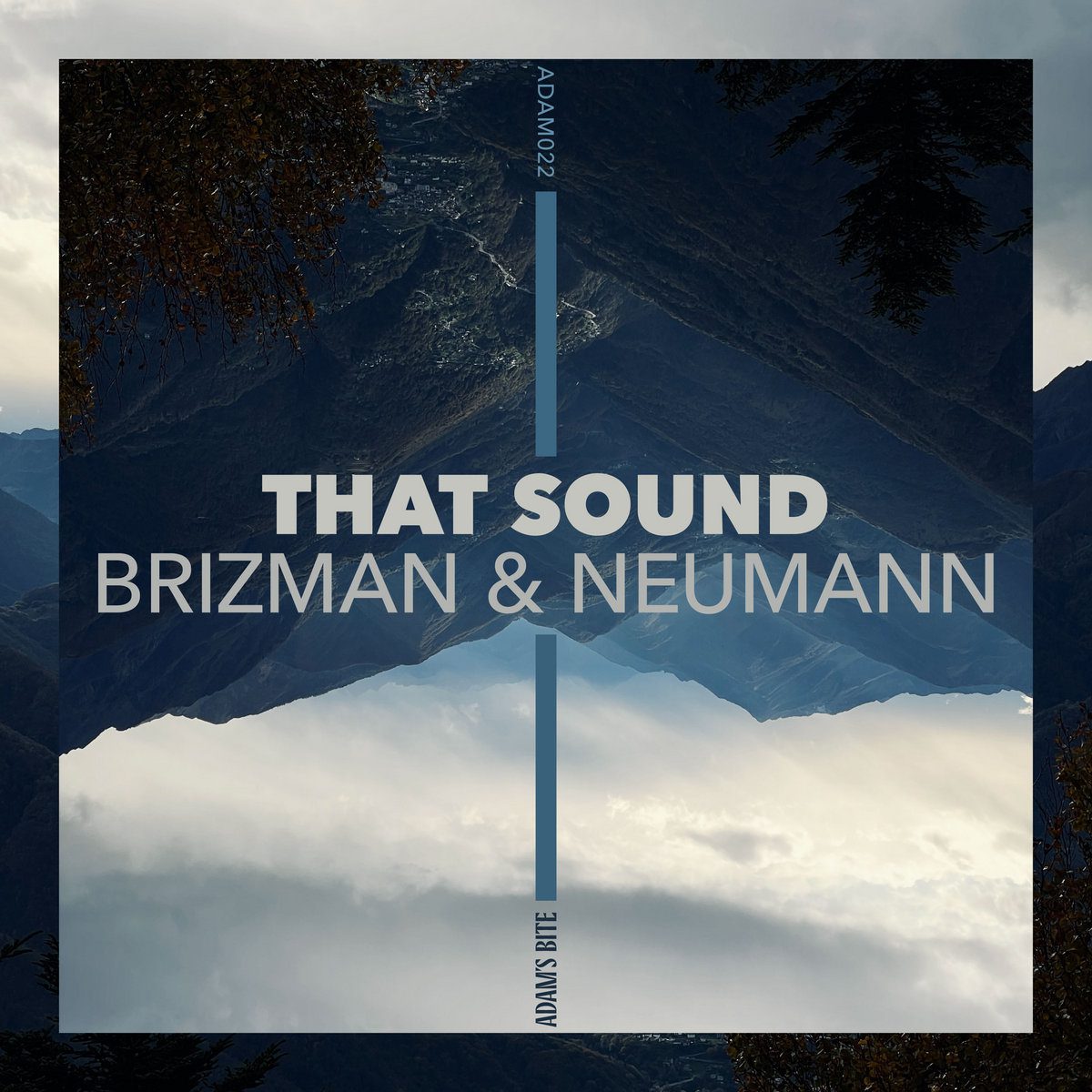 Premiere: Brizman and Neumann - Morning Mayhem - Inverted Audio