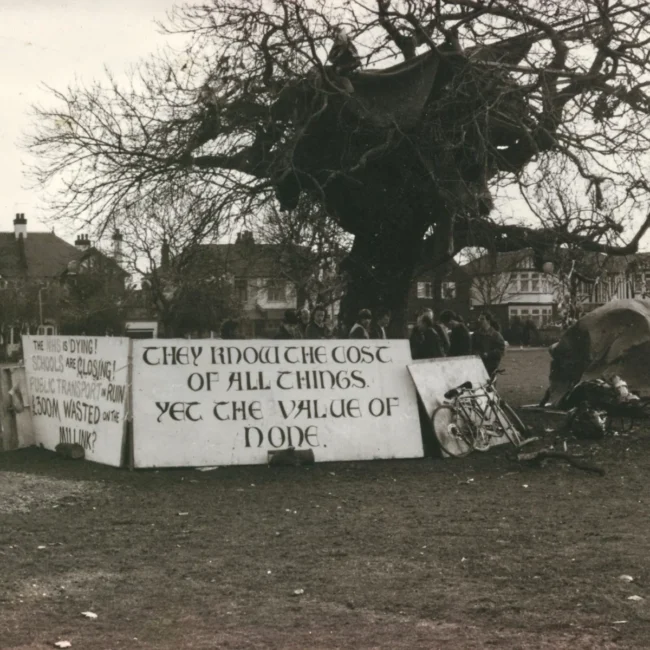 George Green Chestnut Tree M11 Protest