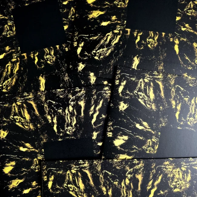 Hoavi Architectonics 2