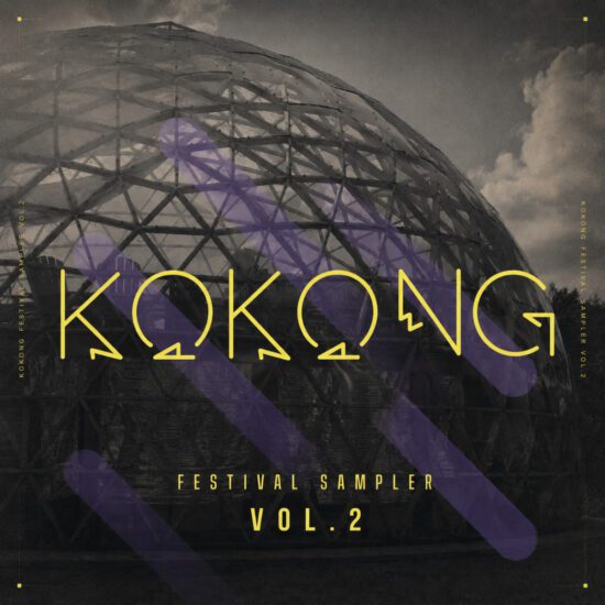 Kokong Festival Sampler Vol.2 Packshot