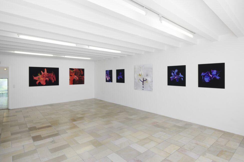 Kompakt 500 At Koelnischer Kunstverein Installation View 2 Pa Room Credit Mareiketocha