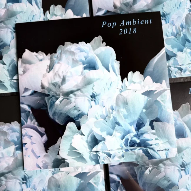 Pop Ambient 2018 5