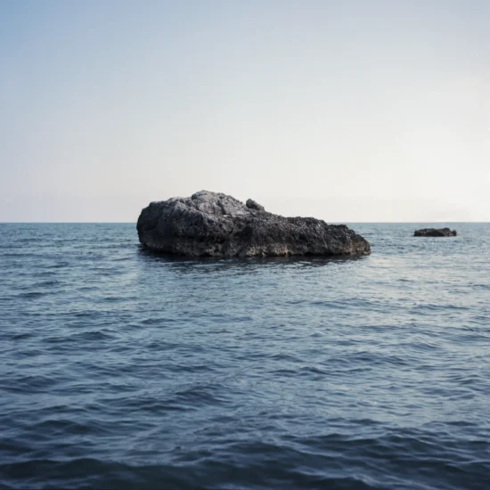 Renato Fiorito Bastimento