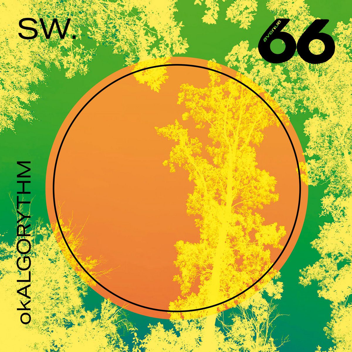 SW / okALGORYTHM