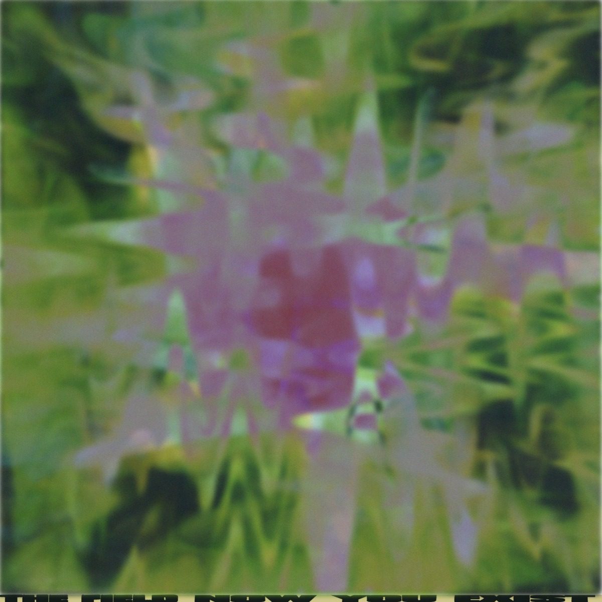 The Field Now You Exist