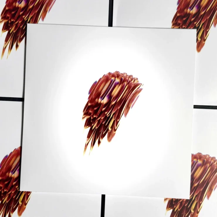 Topdown Dialectic False Lp A