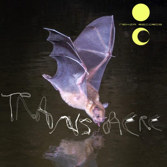 Transaere Cover