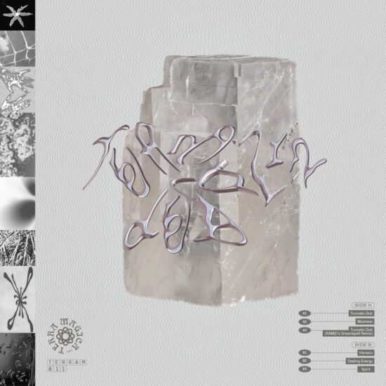 Turmalin Dub Tom Of Terram Listensport
