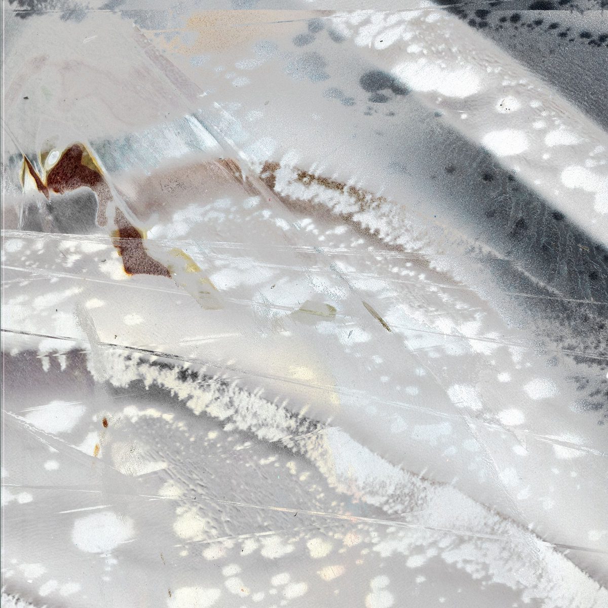 Premiere: Michael Claus - Surveillance Species - Inverted Audio