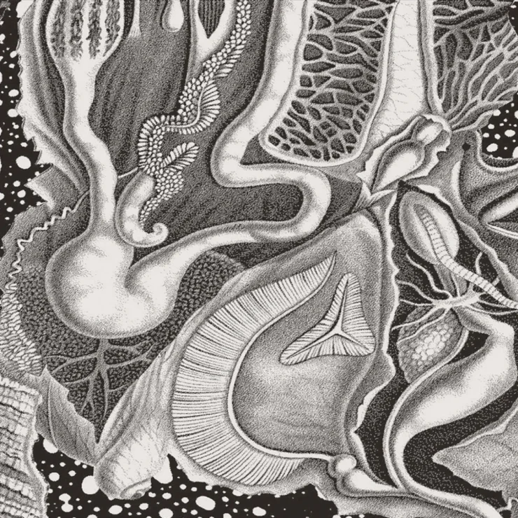Cv313 Dimensional Space Remastered Art