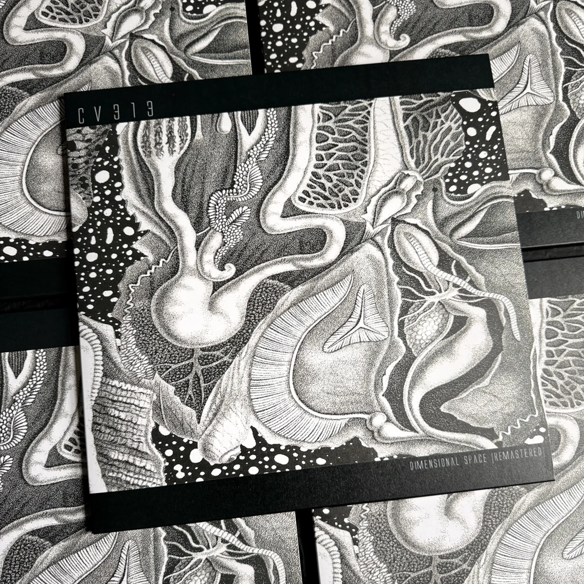 cv313-Dimensional-Space-